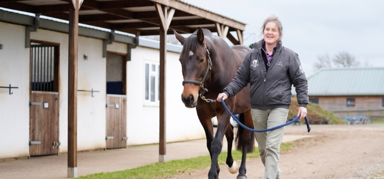 Why your horse needs a passport and microchip